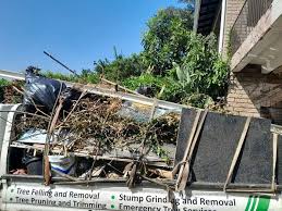 Best Attic Cleanout  in Weeping Water, NE